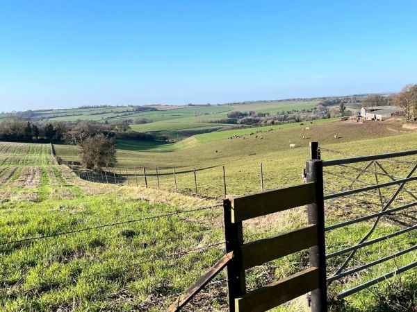Field & Gate